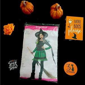 Halloween Costume Wicked Witch